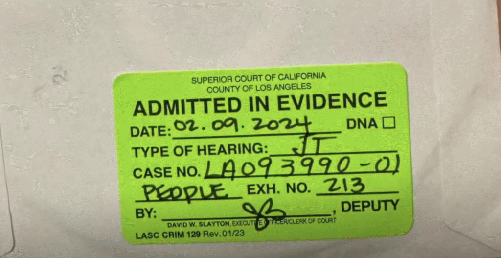 What Did and Didn't Happen in the Rebecca Grossman Case: Solely Responsible or Railroaded?