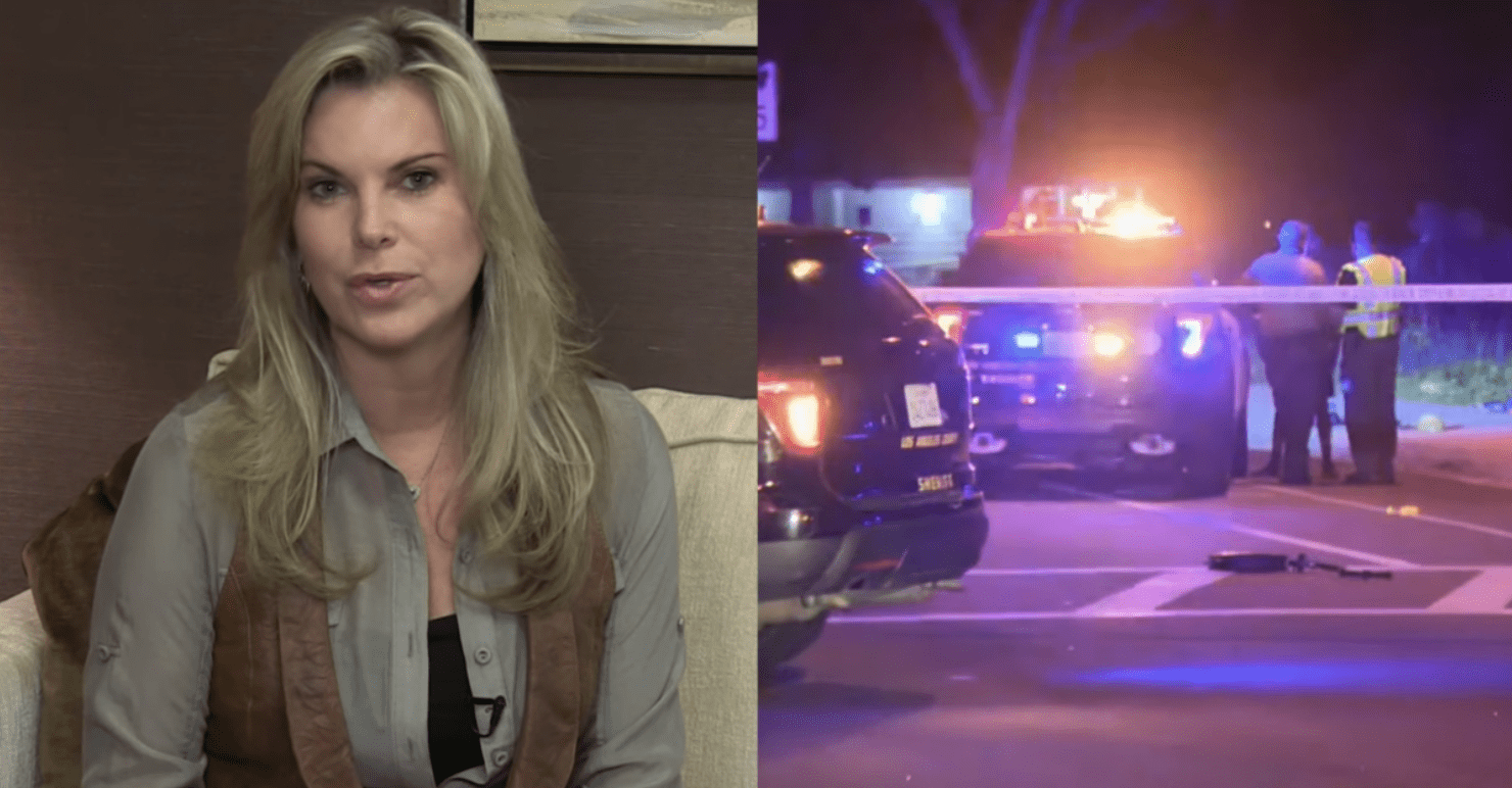 What Did and Didn't Happen in the Rebecca Grossman Case: Solely Responsible or Railroaded?