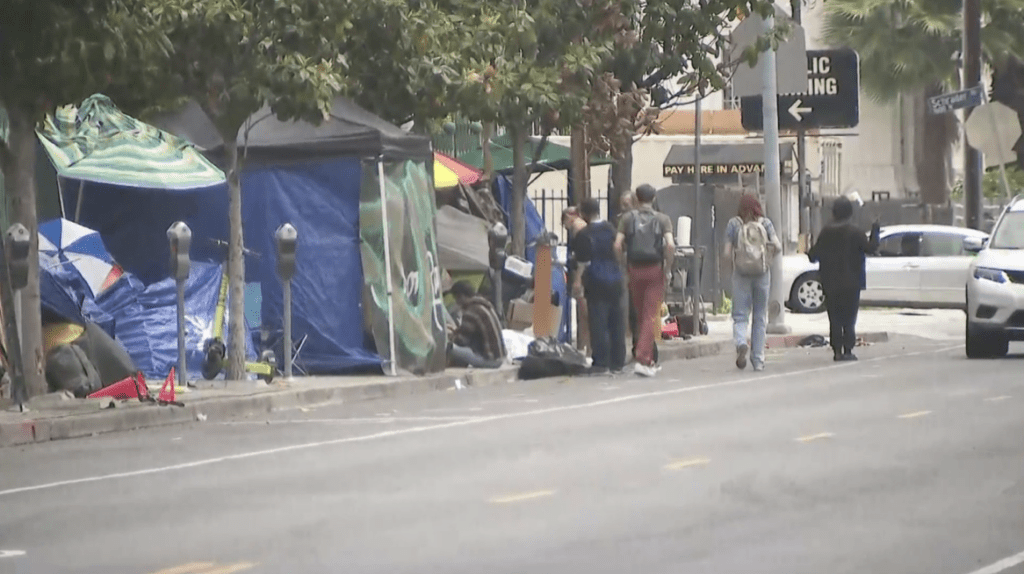 The Socialist Playbook: How Basic Governance is Unraveling Los Angeles
